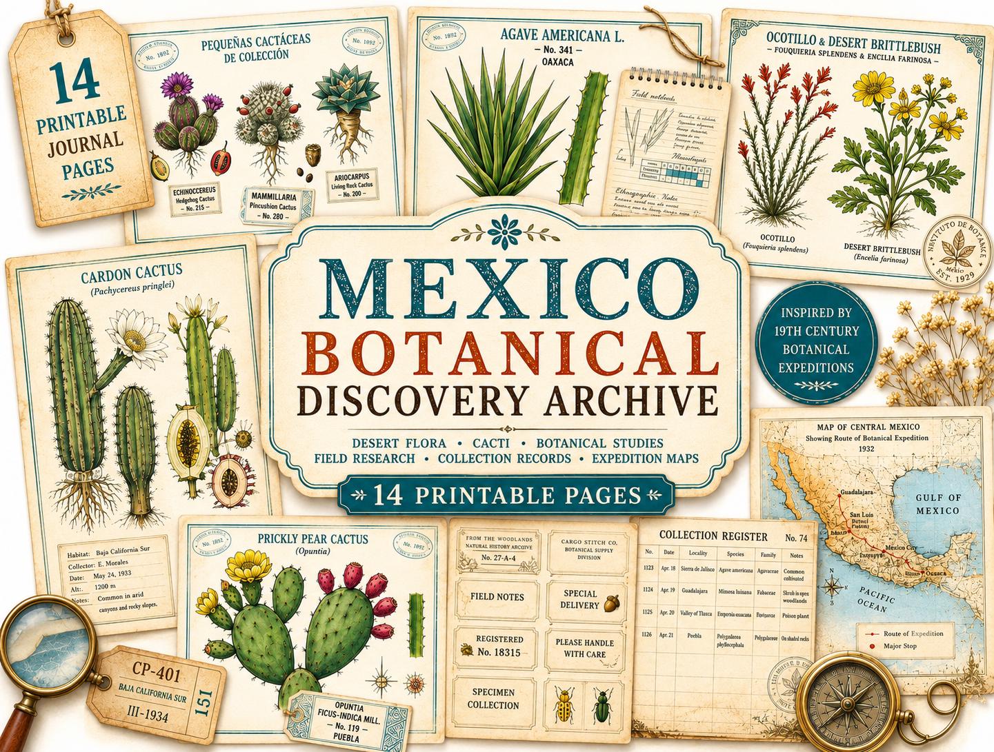 Mexico Botanical Discovery Archive | Vintage Botanical Journal Pages | Botanical Research Printable | Cactus, Wildflower & Herbarium