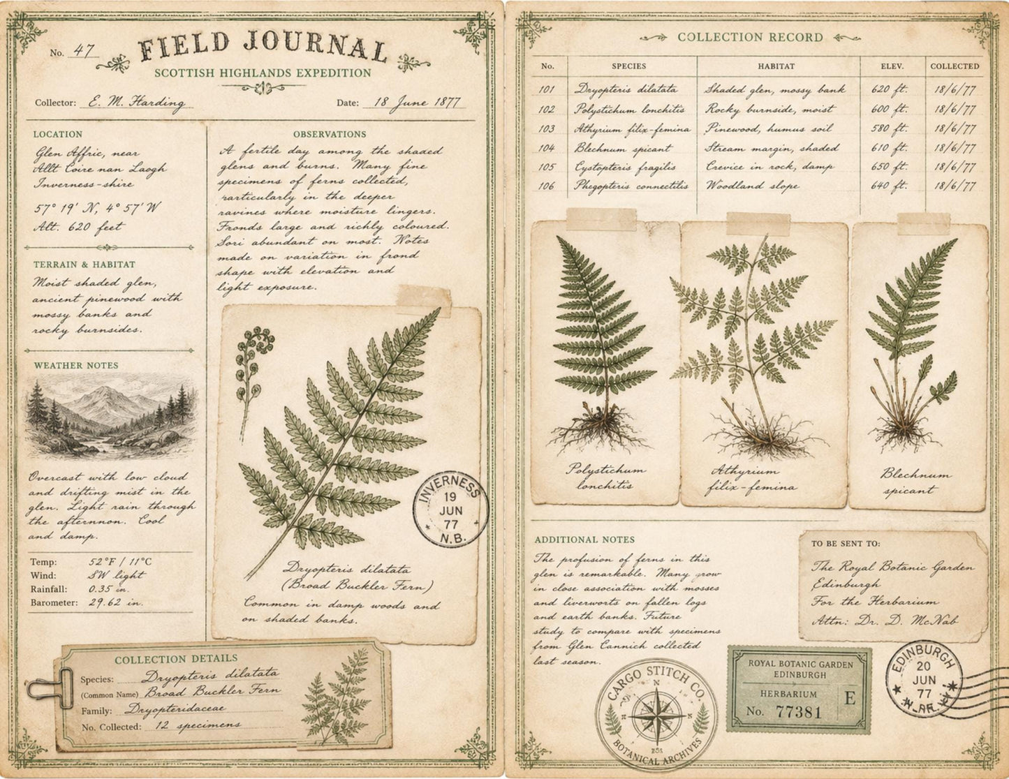 Eleanor's Conservatory Archives Fern Collection | Botanical Journal Papers | Vintage Botanical Ephemera | Printable Nature Collection