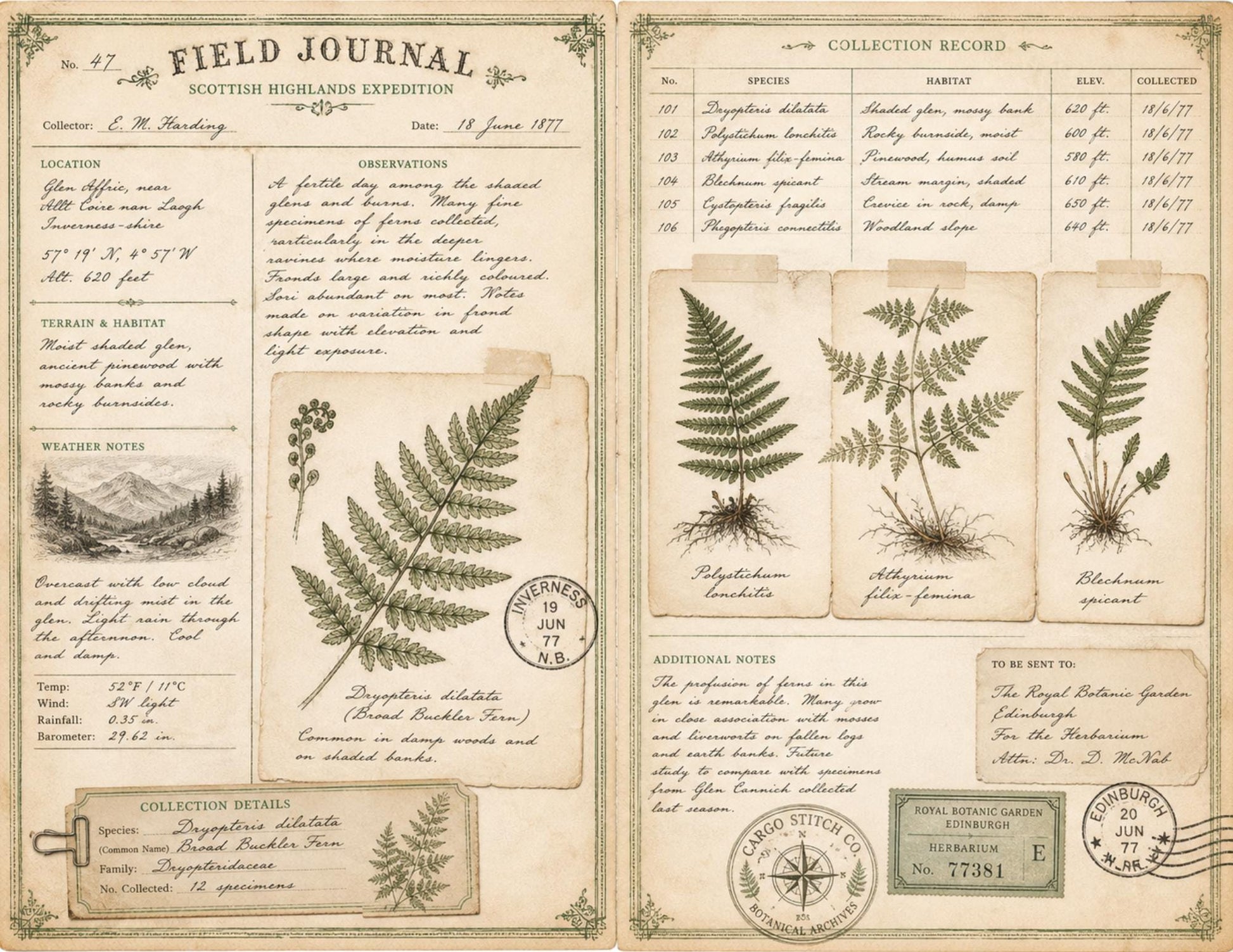 Eleanor's Conservatory Archives Fern Collection | Botanical Journal Papers | Vintage Botanical Ephemera | Printable Nature Collection
