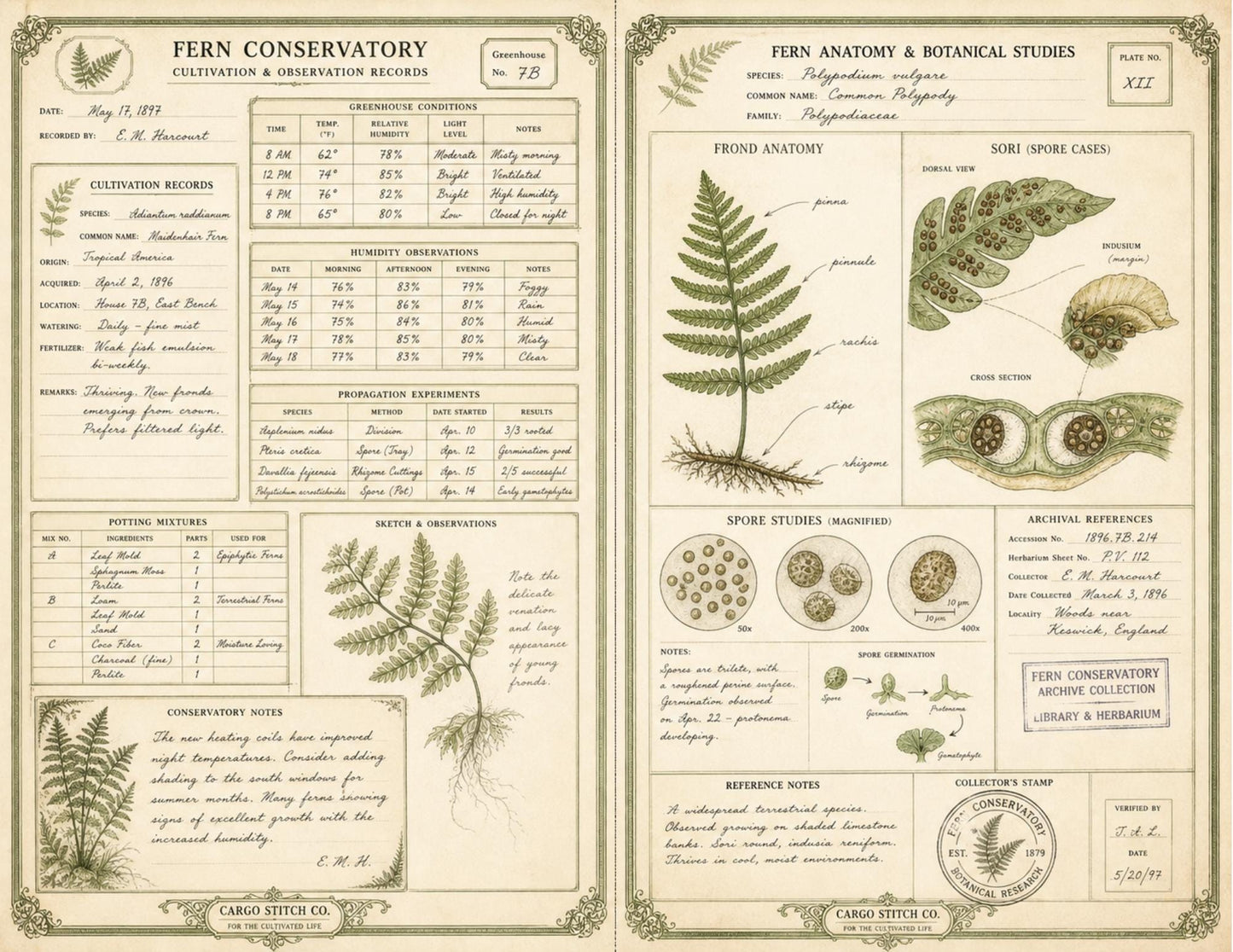 Eleanor's Conservatory Archives Fern Collection | Botanical Journal Papers | Vintage Botanical Ephemera | Printable Nature Collection