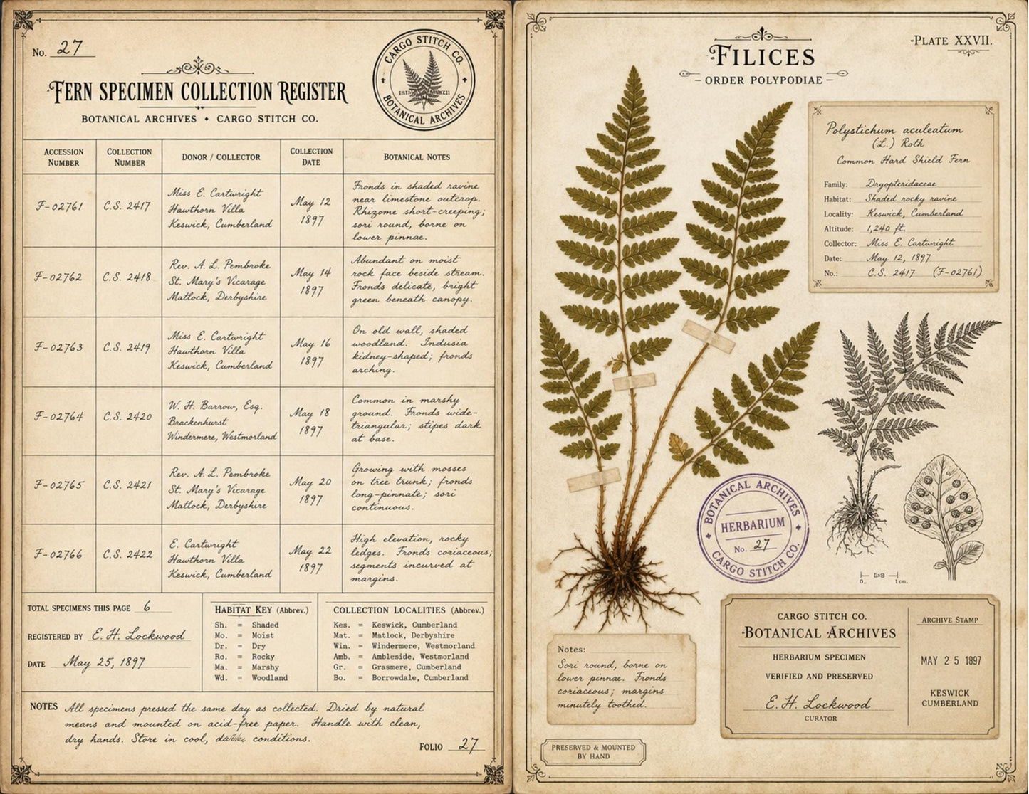 Eleanor's Conservatory Archives Fern Collection | Botanical Journal Papers | Vintage Botanical Ephemera | Printable Nature Collection