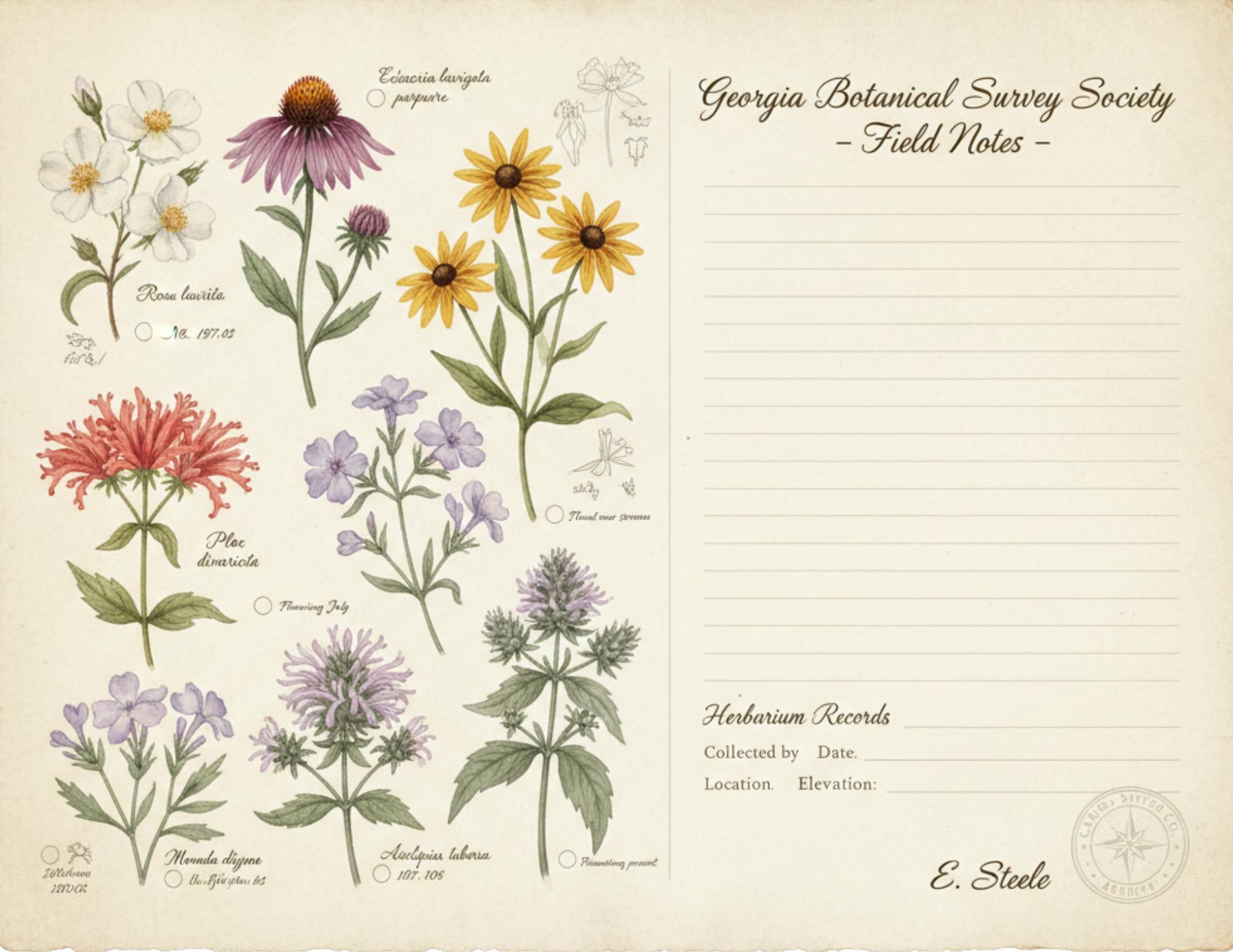 Georgia Botanical Survey Society Native Flora Collection | Vintage Botanical Wildflower & Bird Studies Natural History Ephemera