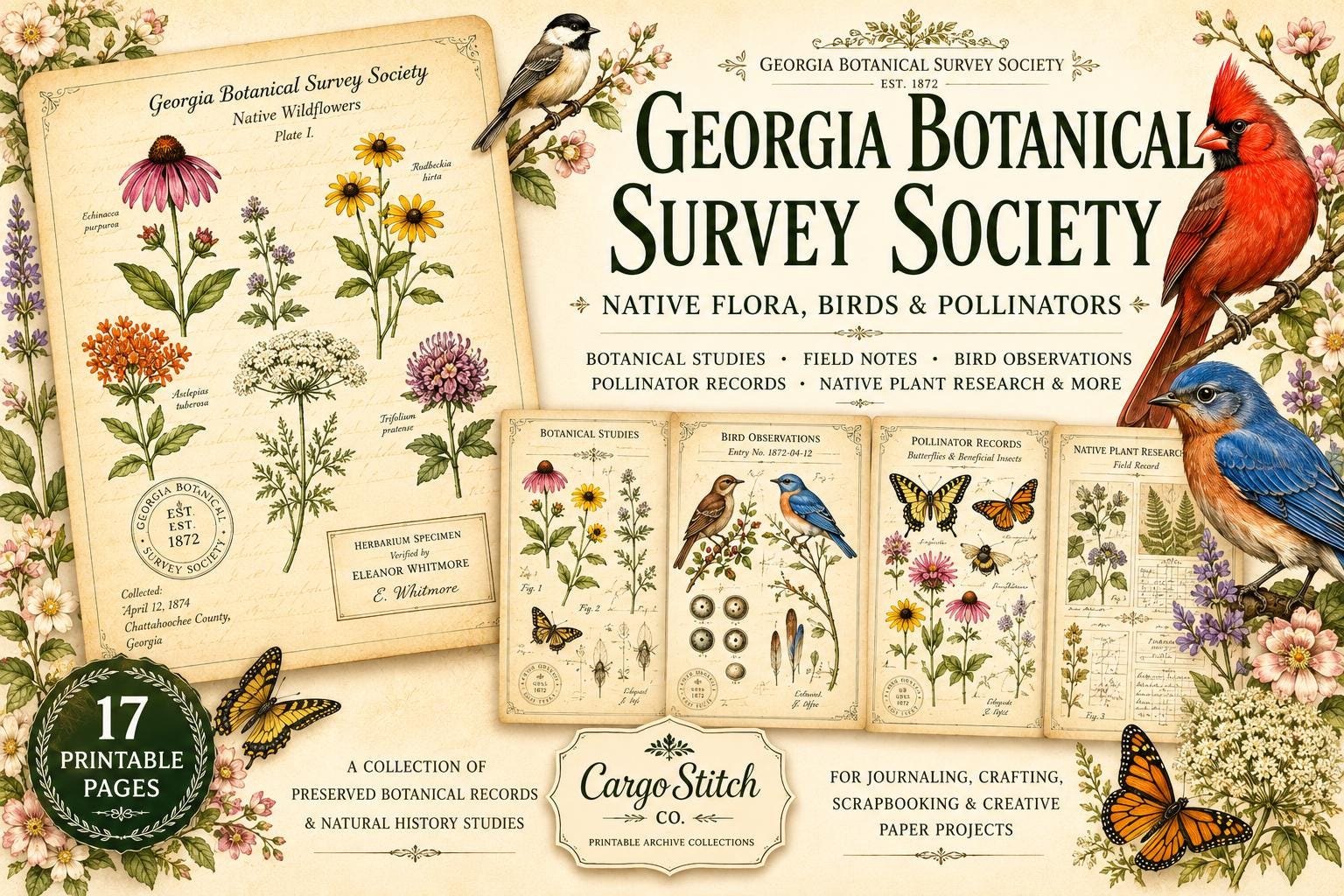 Georgia Botanical Survey Society Native Flora Collection | Vintage Botanical Wildflower & Bird Studies Natural History Ephemera