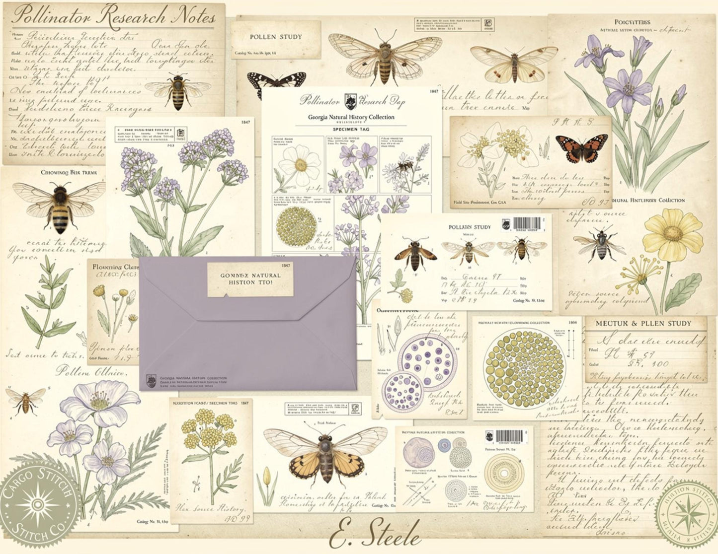 Georgia Natural History Collection Museum Box | Botanical Museum Papers | Vintage Nature Ephemera | Scientific Journal Printables