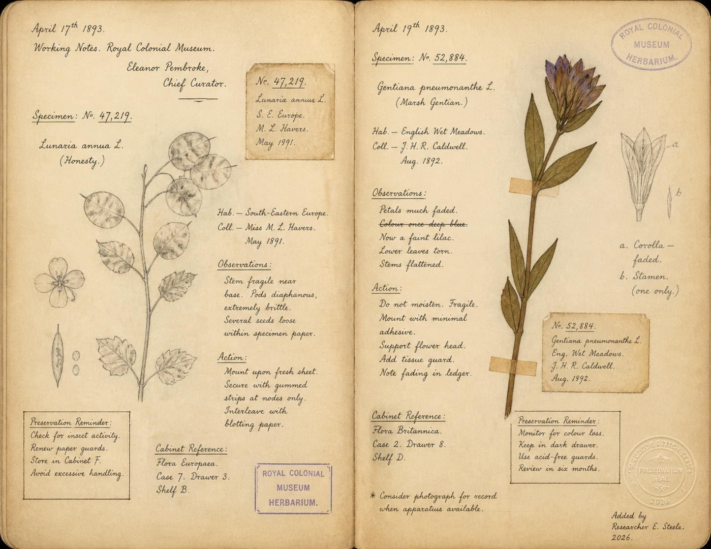 Moon Garden Botanical Society Volume I: Journal of Observations | 20 Printable Junk Journal Pages | Victorian Botanical Archive