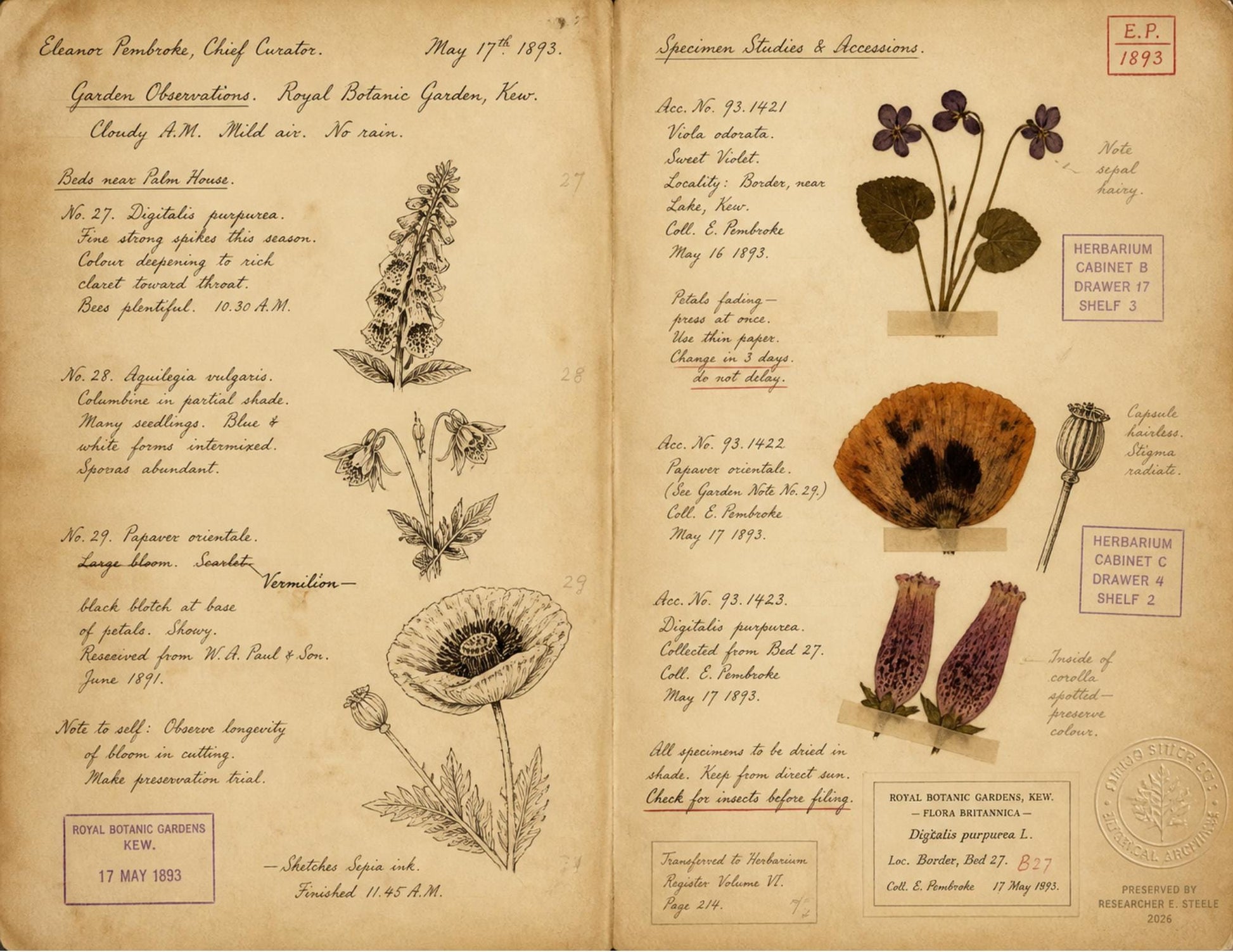 Moon Garden Botanical Society Volume I: Journal of Observations | 20 Printable Junk Journal Pages | Victorian Botanical Archive
