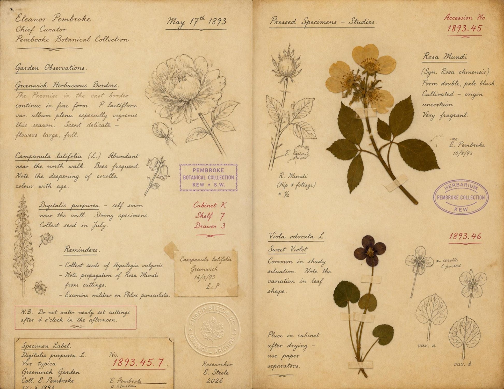 Moon Garden Botanical Society Volume I: Journal of Observations | 20 Printable Junk Journal Pages | Victorian Botanical Archive