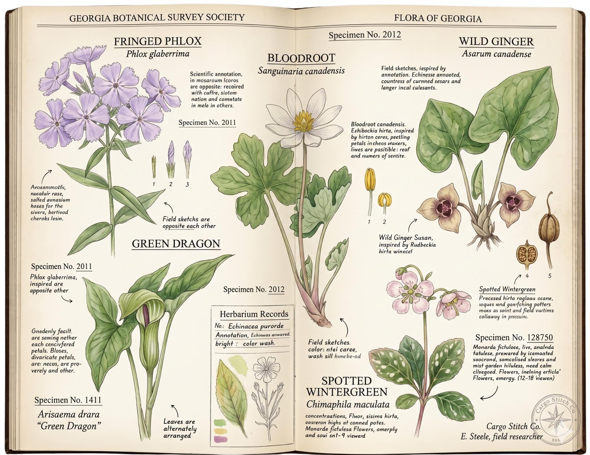Georgia Botanical Survey Society | Native Flora, Birds & Pollinators | Botanical Journal Pages | Printable Junk Journal Kit | 19 Page PDF