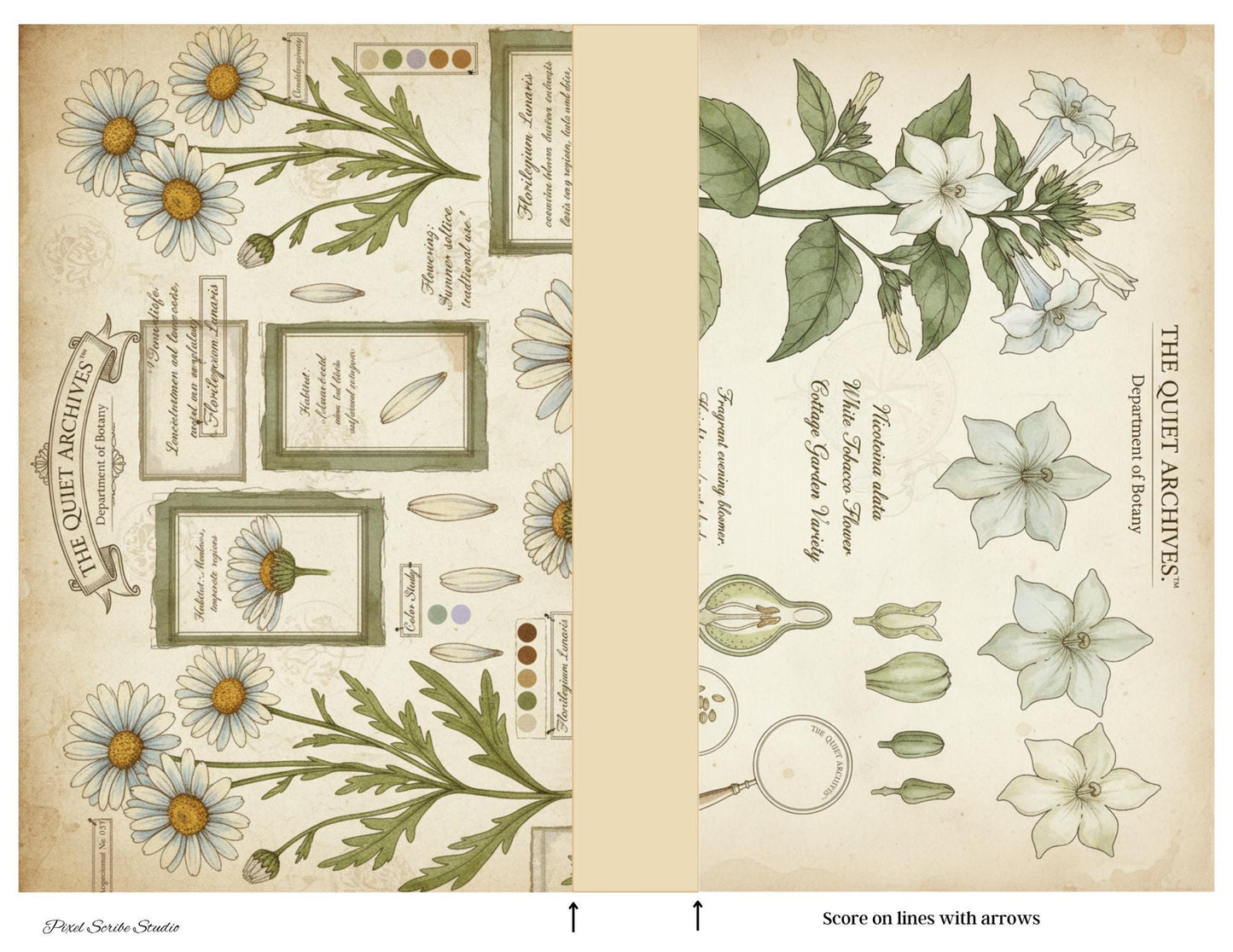 Botanical Fairy Accordion File Folder Printable | Vintage Herbarium Journal Kit | Eleanor & Grace Digital Download
