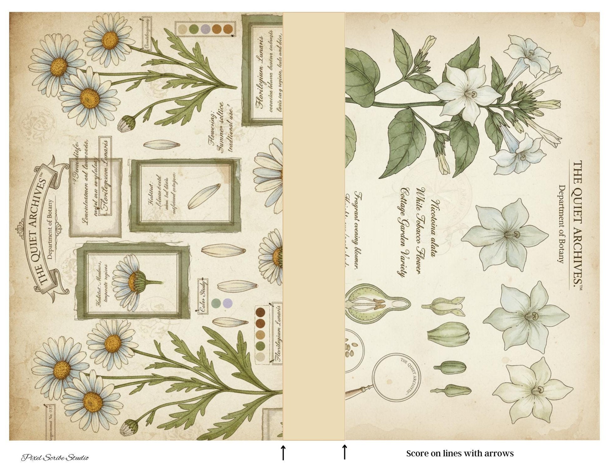 Botanical Fairy Accordion File Folder Printable | Vintage Herbarium Journal Kit | Eleanor & Grace Digital Download