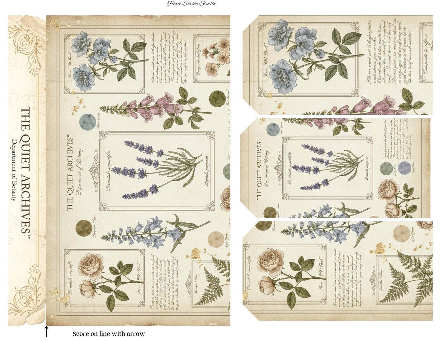 Botanical Fairy Accordion File Folder Printable | Vintage Herbarium Journal Kit | Eleanor & Grace Digital Download