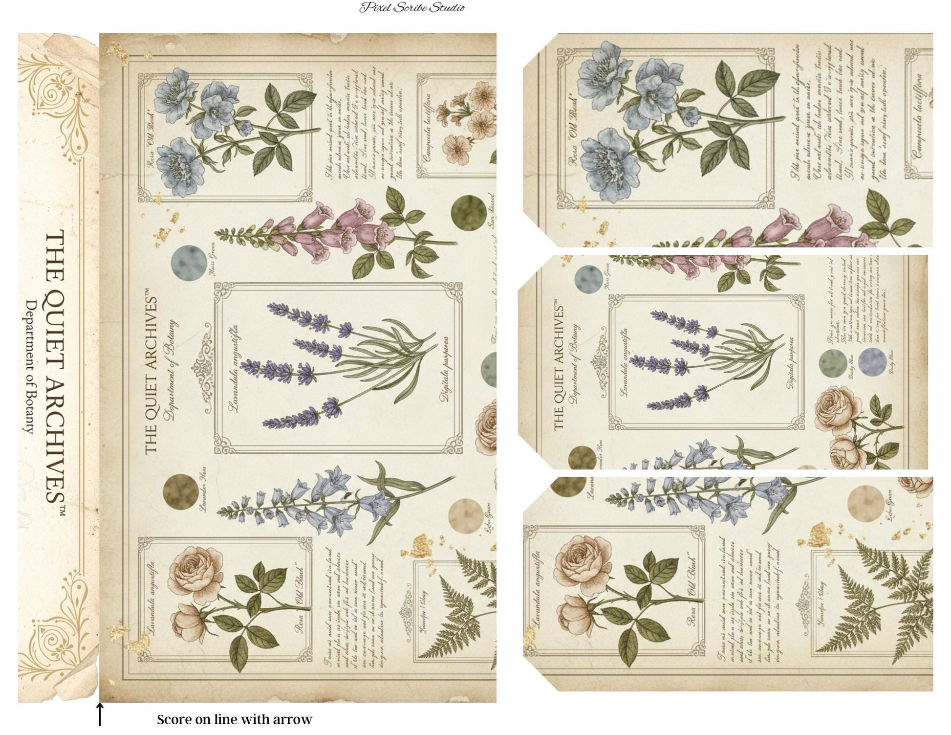 Botanical Fairy Accordion File Folder Printable | Vintage Herbarium Journal Kit | Eleanor & Grace Digital Download
