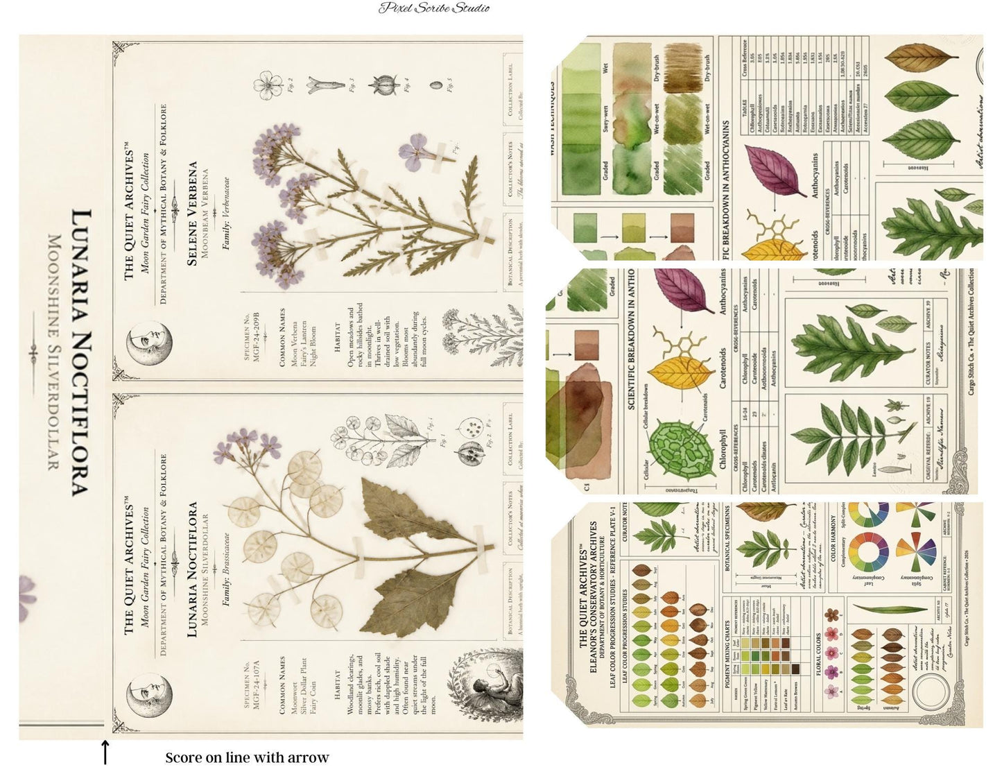 Botanical Reference Library Accordion File Folder Printable | Vintage Plant Study | Junk Journal Kit | Instant Download