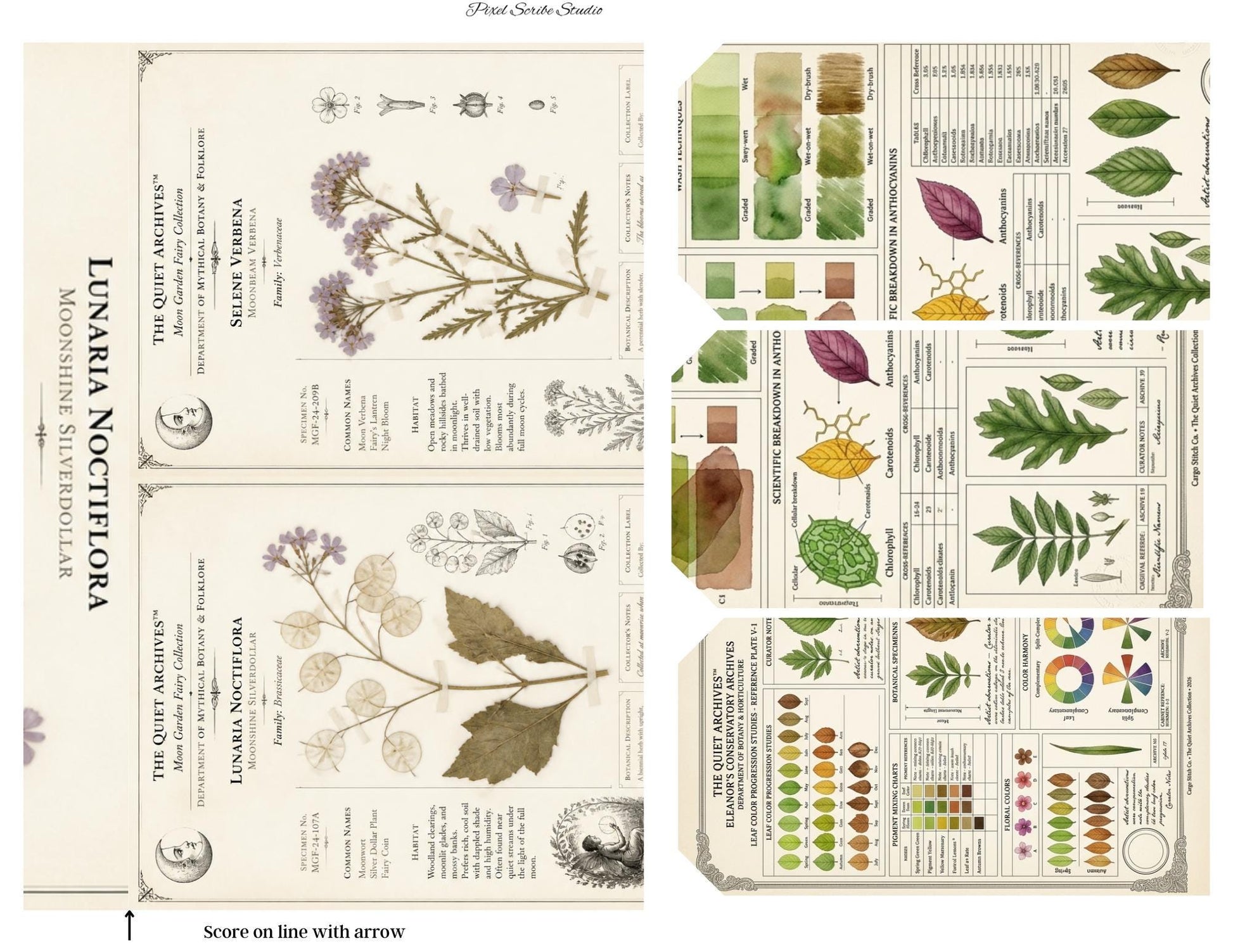 Botanical Reference Library Accordion File Folder Printable | Vintage Plant Study | Junk Journal Kit | Instant Download
