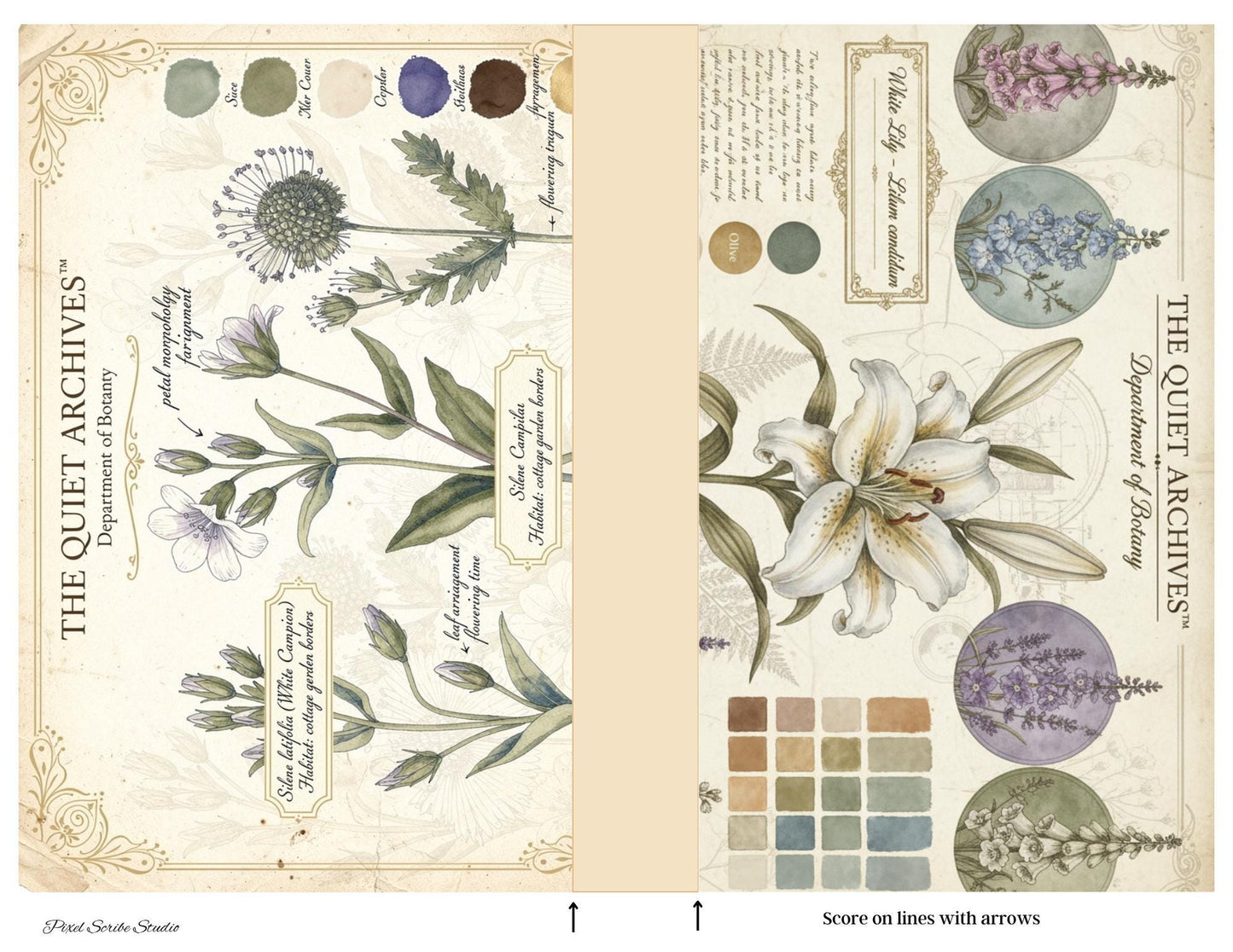 Botanical Fairy Accordion File Folder Printable | Vintage Herbarium Journal Kit | Eleanor & Grace Digital Download
