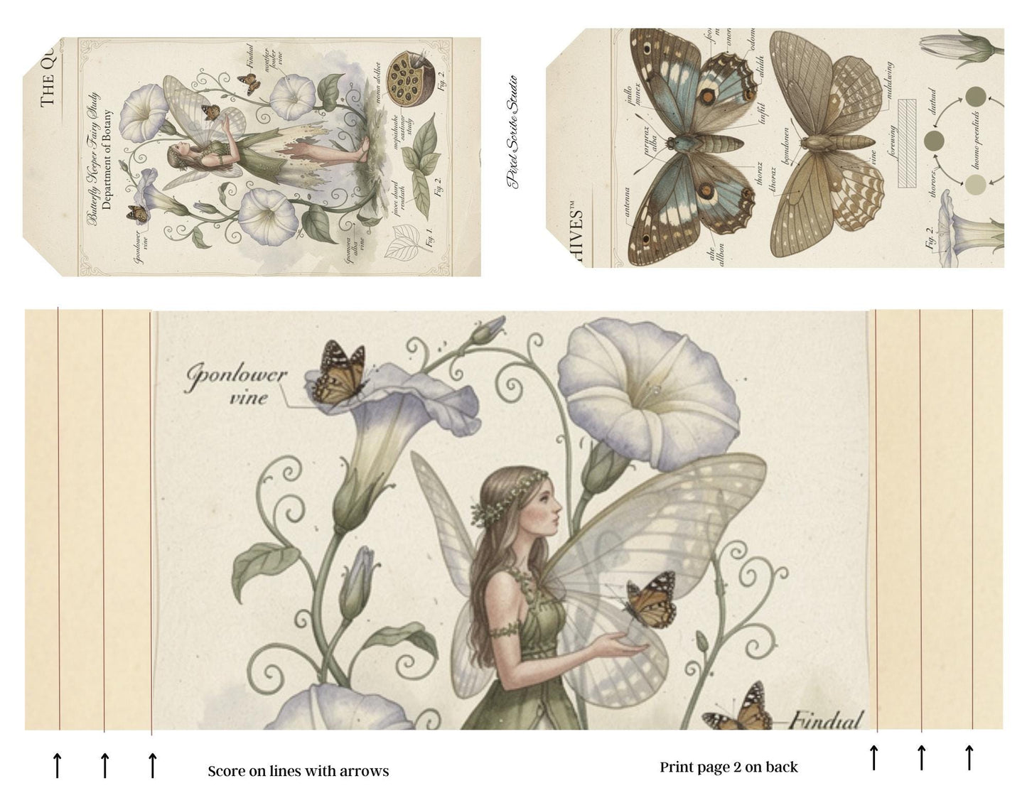 Botanical Fairy Accordion File Folder Printable | Vintage Herbarium Journal Kit | Eleanor & Grace Digital Download