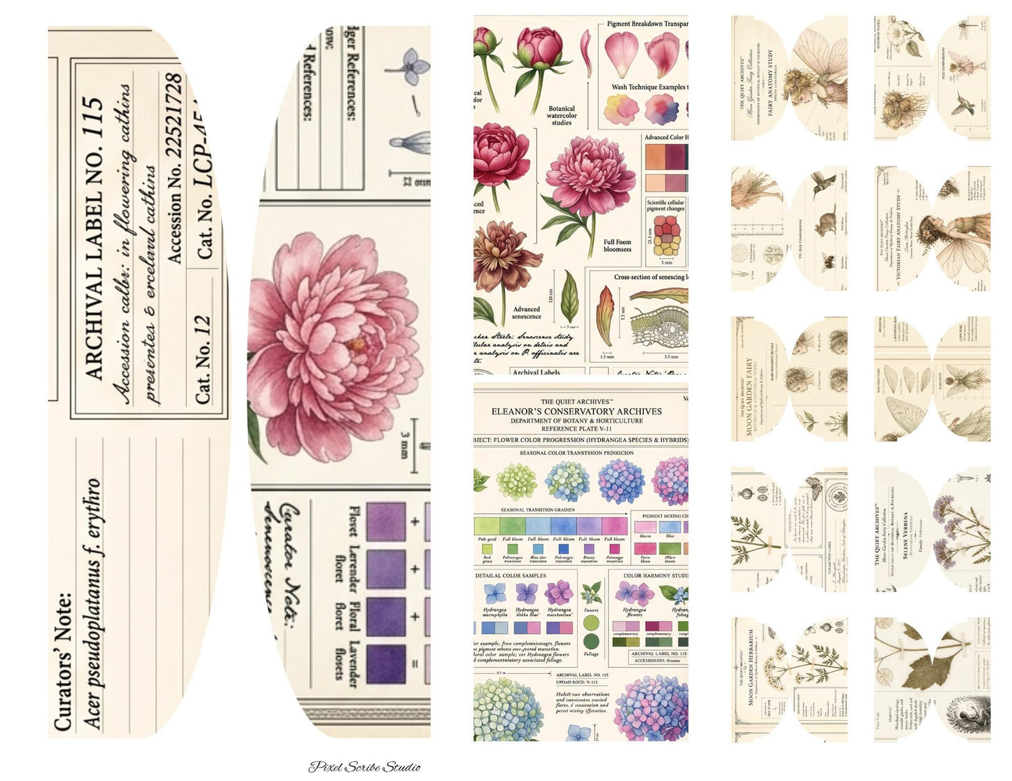 Botanical Reference Library Accordion File Folder Printable | Vintage Plant Study | Junk Journal Kit | Instant Download
