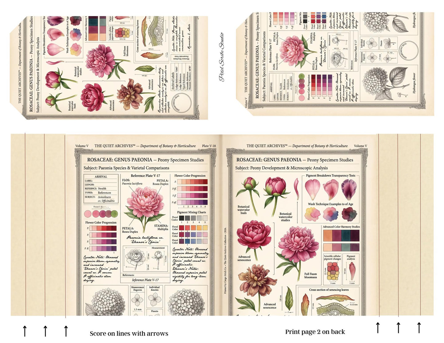 Botanical Reference Library Accordion File Folder Printable | Vintage Plant Study | Junk Journal Kit | Instant Download
