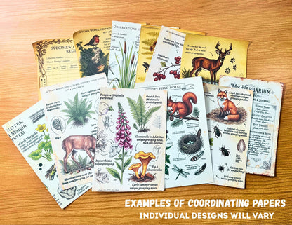 Mini Woodland Field Notes Bundle | Handmade Journal & Ephemera Collection| Botanical Nature Craft Kit, Vintage Naturalist Paper