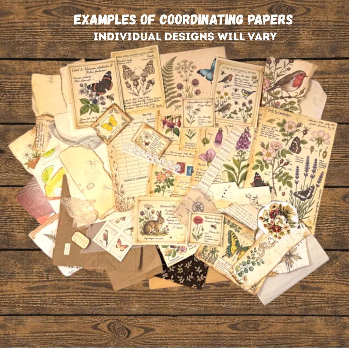 Curated Ephemera Pack | Botanical Field Notes Journal Pieces | Handmade Vintage Journal Kit for Junk Journals & Collage
