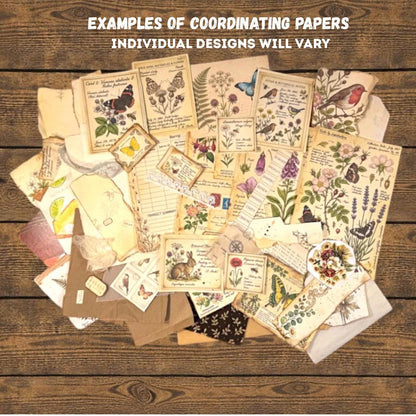 Mini Curated Ephemera Pack | Botanical Field Notes Journal Pieces | Handmade Vintage Journal Kit for Junk Journals & Collage