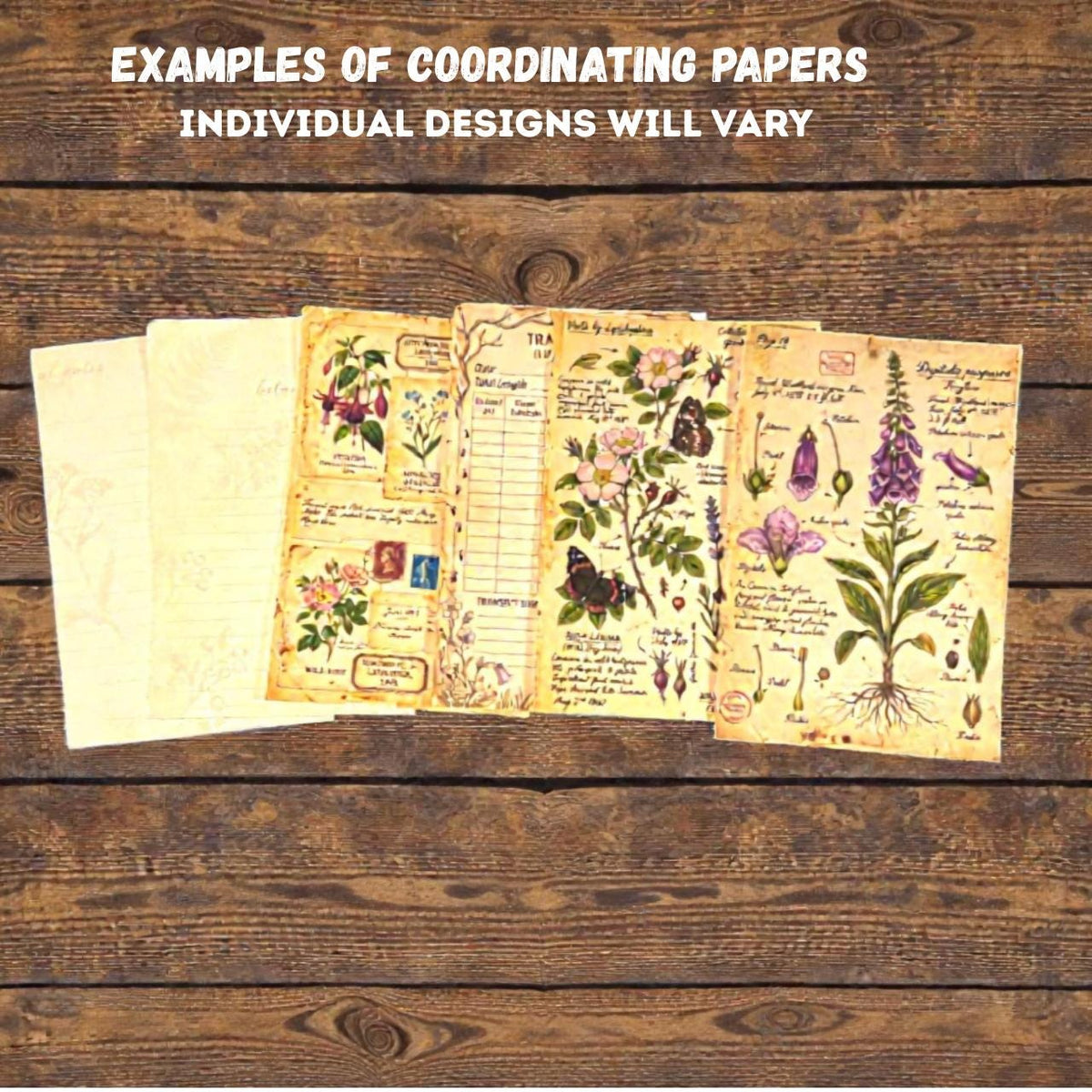 Curated Ephemera Pack | Botanical Field Notes Journal Pieces | Handmade Vintage Journal Kit for Junk Journals & Collage