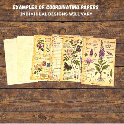 Curated Ephemera Pack | Botanical Field Notes Journal Pieces | Handmade Vintage Journal Kit for Junk Journals & Collage