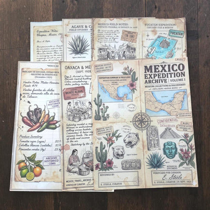 Mexico Expedition Archive Junk Journal Ephemera Pack | Vintage Travel Field Notes | Mexico Botanical & Archaeology Paper Collection