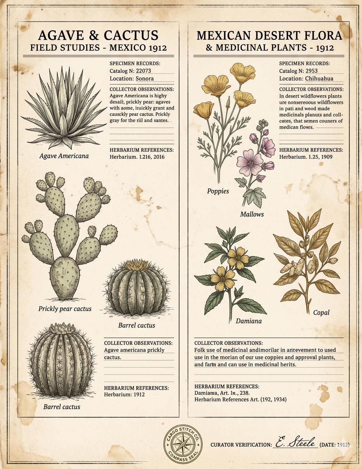 Mexico Expedition Archive Junk Journal Ephemera Pack | Vintage Travel Field Notes | Mexico Botanical & Archaeology Paper Collection