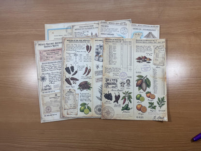 Mexico Expedition Archive Junk Journal Ephemera Pack | Vintage Travel Field Notes | Mexico Botanical & Archaeology Paper Collection