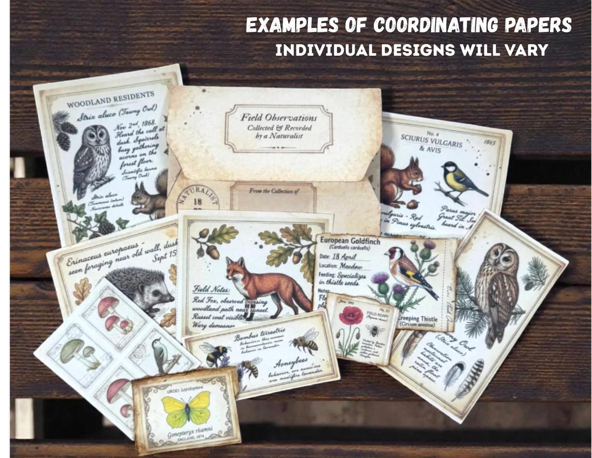 Woodland Field Notes Ephemera Collection | Handmade Woodland Junk Journal Ephemera, Botanical Nature Craft Kit, Vintage Naturalist Paper