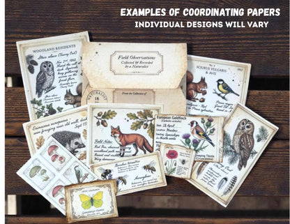 Woodland Field Notes Ephemera Collection | Handmade Woodland Junk Journal Ephemera, Botanical Nature Craft Kit, Vintage Naturalist Paper