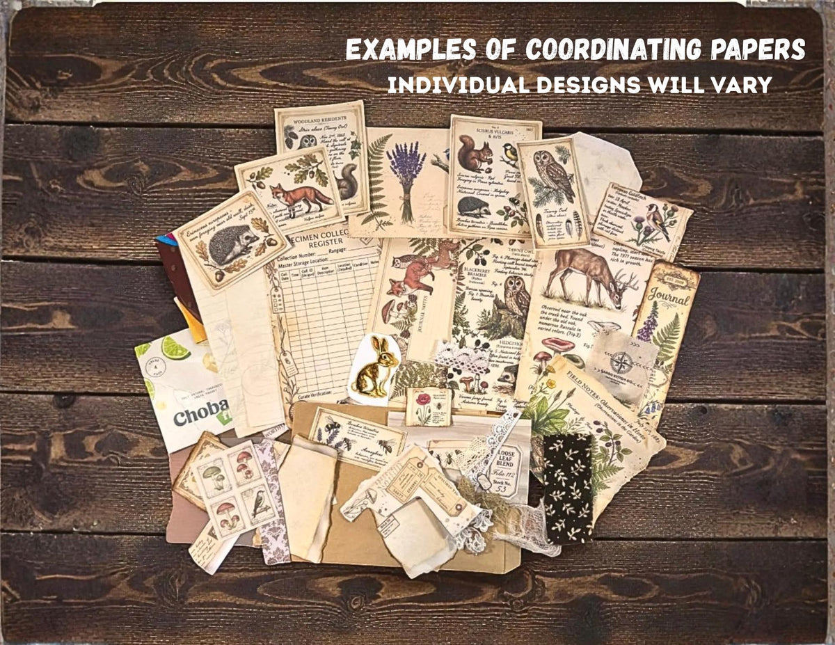 Woodland Field Notes Ephemera Collection | Handmade Woodland Junk Journal Ephemera, Botanical Nature Craft Kit, Vintage Naturalist Paper