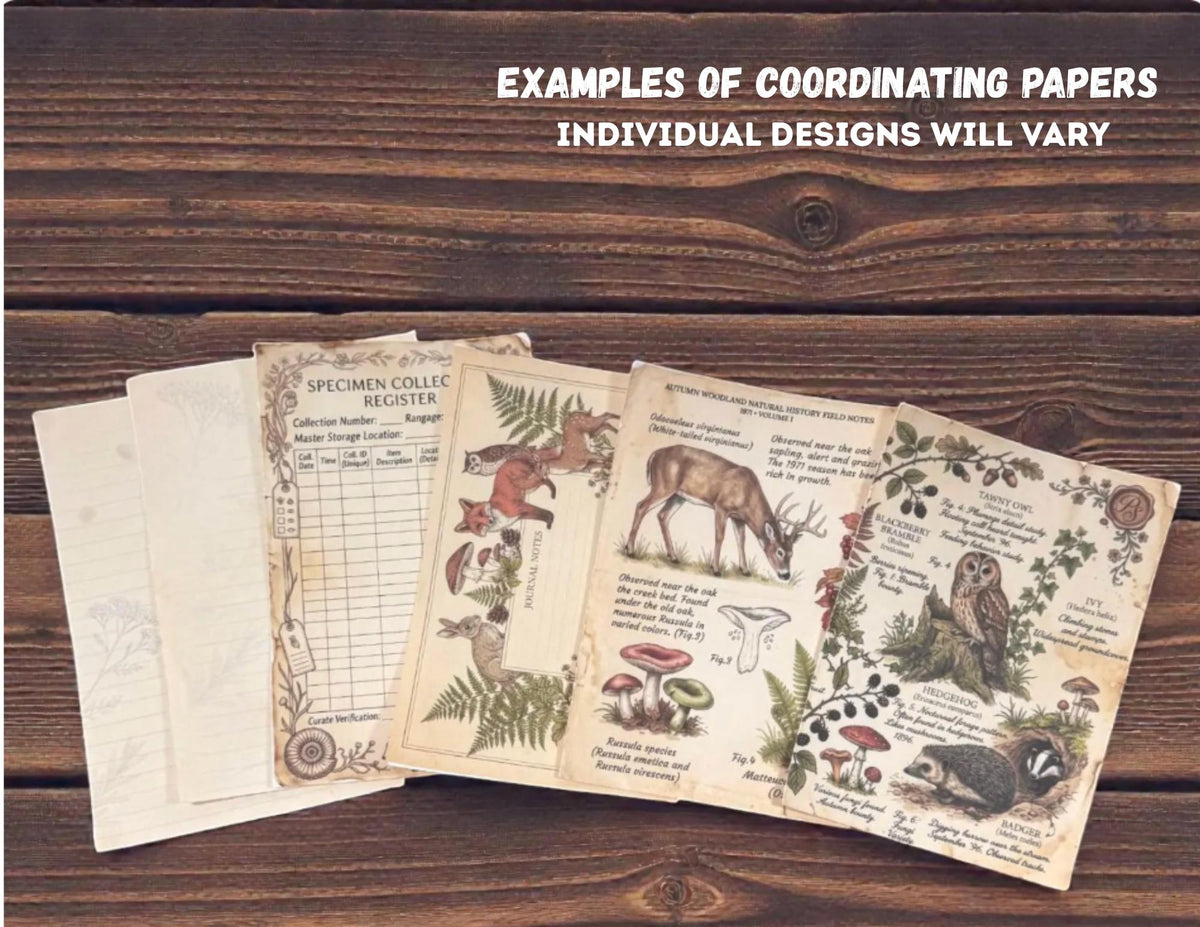 Mini Woodland Field Notes Bundle | Handmade Journal & Ephemera Collection| Botanical Nature Craft Kit, Vintage Naturalist Paper