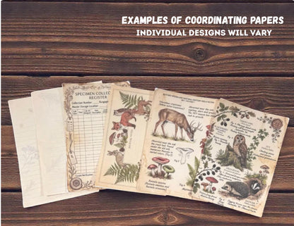 Mini Woodland Field Notes Bundle | Handmade Journal & Ephemera Collection| Botanical Nature Craft Kit, Vintage Naturalist Paper