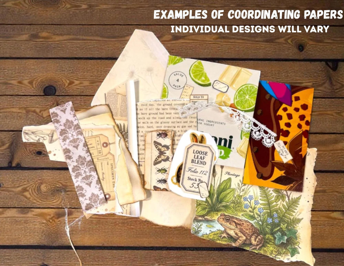 Mini Woodland Field Notes Bundle | Handmade Journal & Ephemera Collection| Botanical Nature Craft Kit, Vintage Naturalist Paper