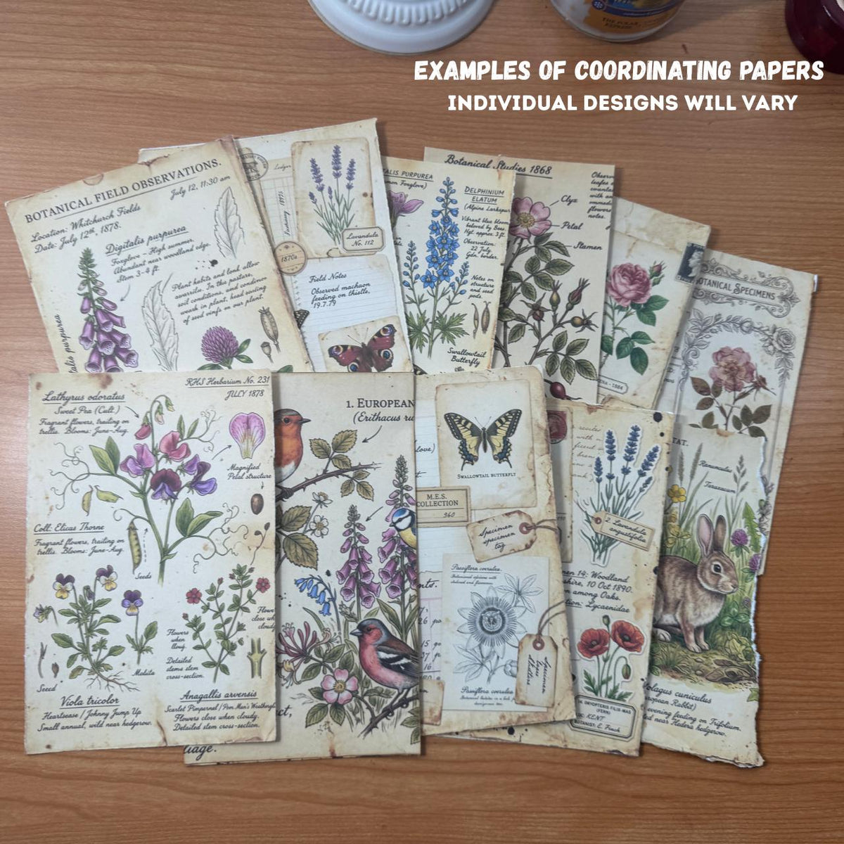 Mini Curated Ephemera Pack | Botanical Field Notes Journal Pieces | Handmade Vintage Journal Kit for Junk Journals & Collage