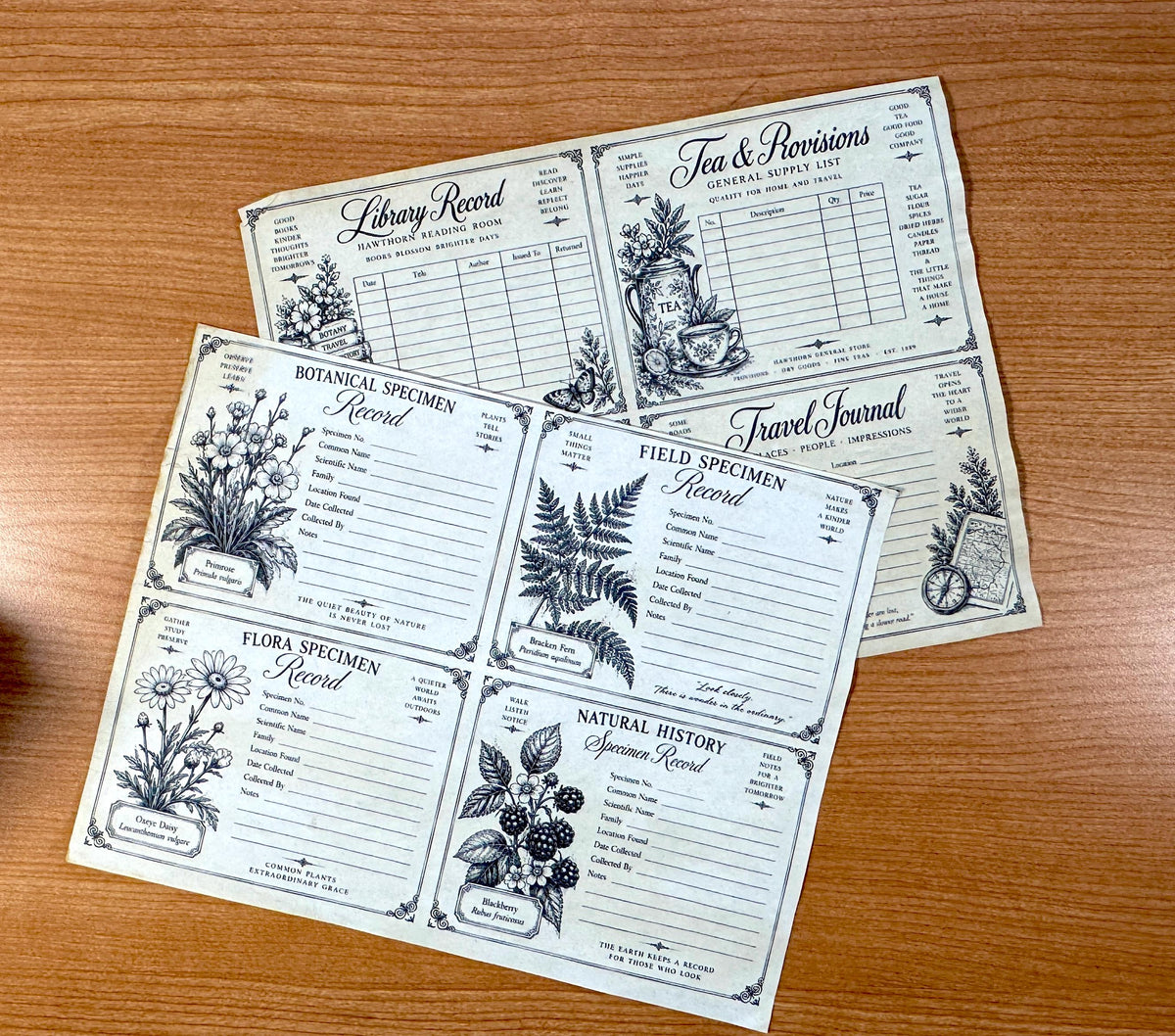Hand Coffee Dyed Paper Pack, 11 Printed Vintage Journal Pages, Victorian Ephemera, Junk Journal Papers, Handmade Paper