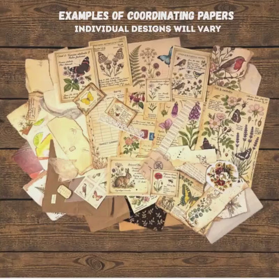 Curated Ephemera Pack | Botanical Field Notes Journal Pieces | Handmade Vintage Journal Kit for Junk Journals & Collage