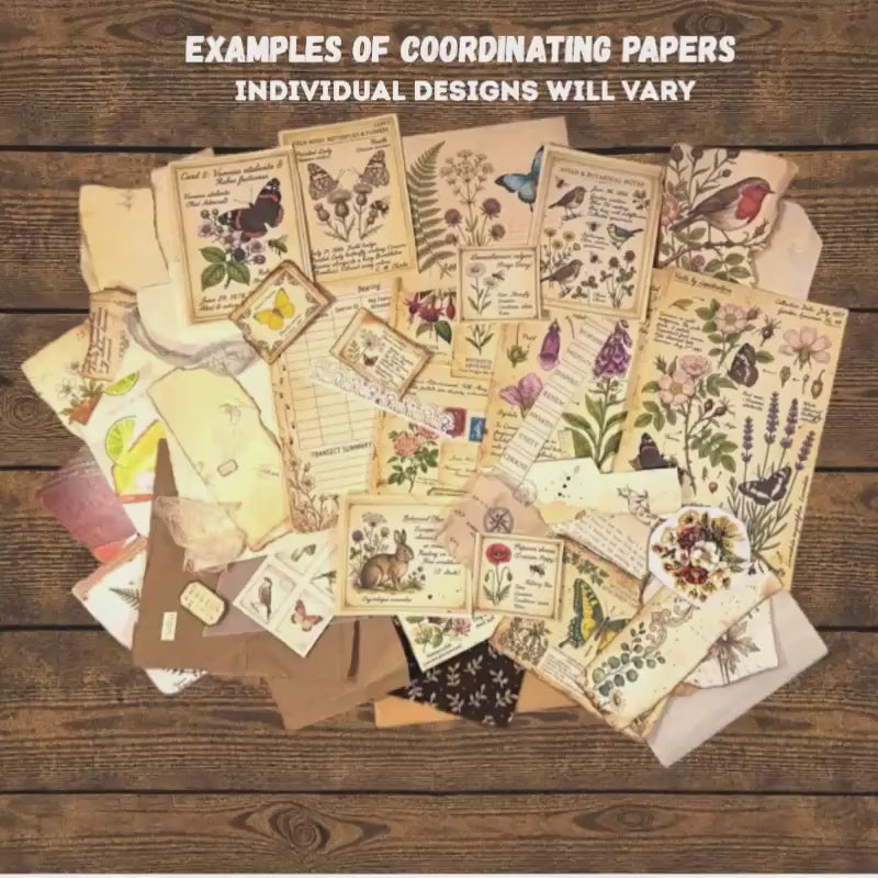 Curated Ephemera Pack | Botanical Field Notes Journal Pieces | Handmade Vintage Journal Kit for Junk Journals & Collage