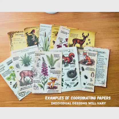 Mini Woodland Field Notes Bundle | Handmade Journal & Ephemera Collection| Botanical Nature Craft Kit, Vintage Naturalist Paper