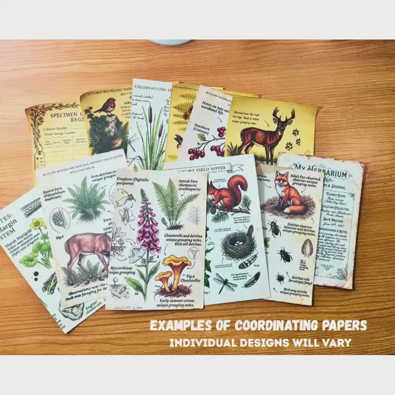 Mini Woodland Field Notes Bundle | Handmade Journal & Ephemera Collection| Botanical Nature Craft Kit, Vintage Naturalist Paper