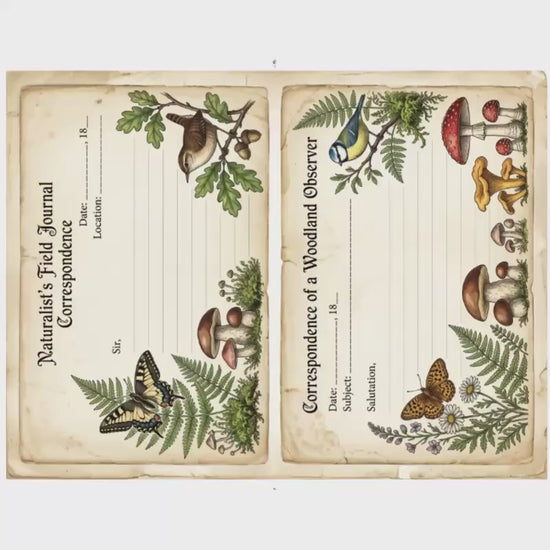 Naturalist Correspondence Archive Volume I | Woodland Field Notes Printable Kit, Nature Journal Ephemera, Observation Records, Journal Pages