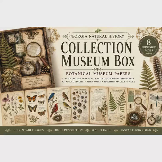 Georgia Natural History Collection Museum Box | Botanical Museum Papers | Vintage Nature Ephemera | Scientific Journal Printables